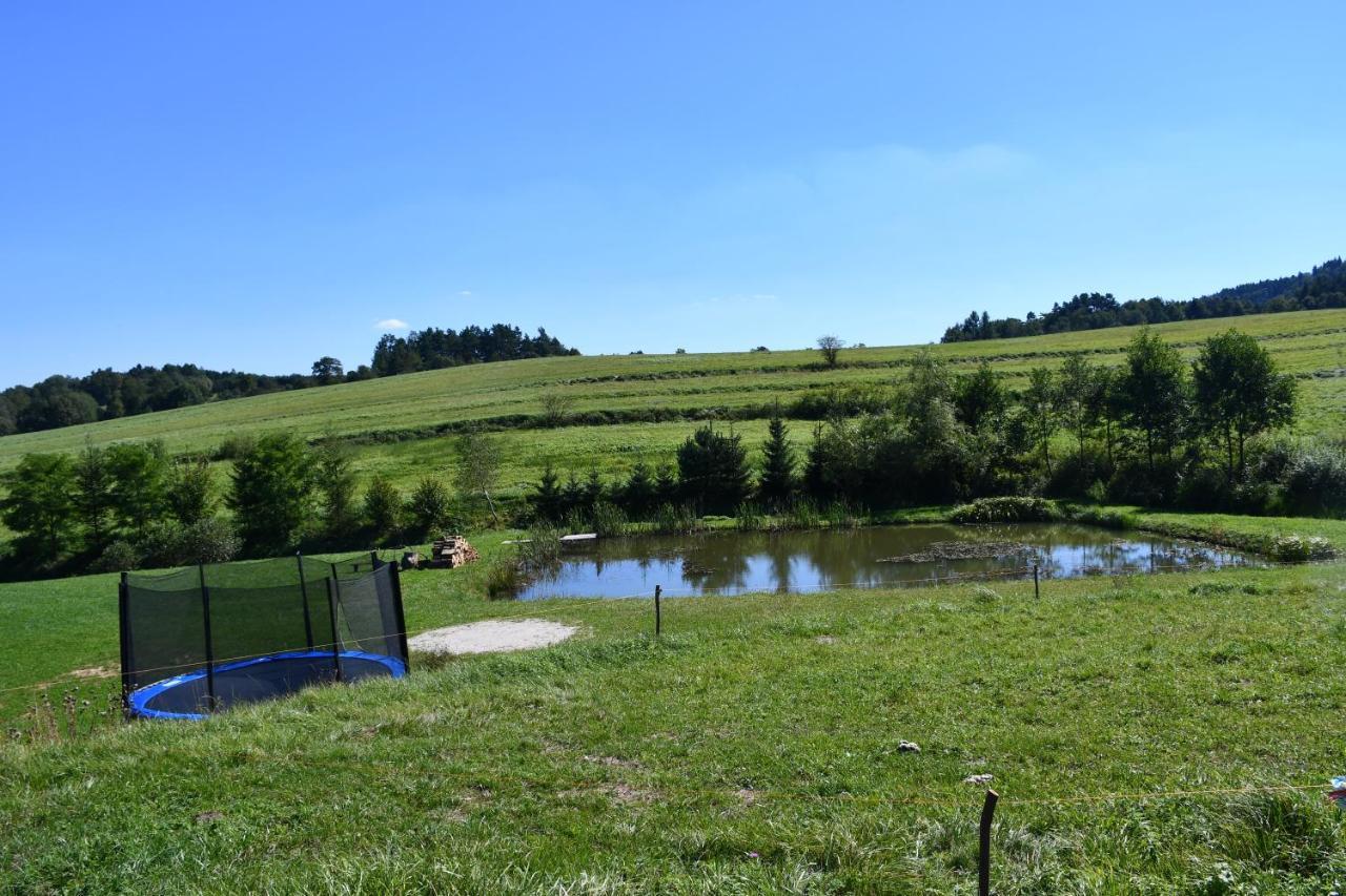 Apartament Pod Nartami Hoczew Zewnętrze zdjęcie